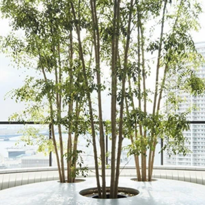 Artificial Bamboo Tree  For  Garden Landscape  Tree Artificial