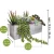 Import Artificial Pre-Made Succulent Wood Planter Arrangement 10 Pcs Assorted Fake Succulent Plants in Rectangular Wooden Planter Box from China