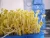 Import automatic grain vegetable sprouting machine green yellow fodder from China