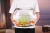 Import ball shaped  terrarium large Clear Glass Vase Fish Bowl from China