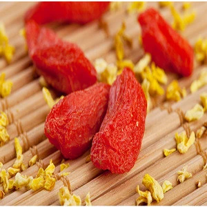 best dry fruits dried organic goji berries lycium barbarum