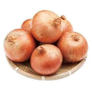 Best fresh yellow onion price ton