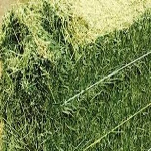 Best quality Soybean Meal, Yellow Corn and Alfalfa Hay for animal feed for sell