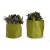 Import Best selling planting smart polyester garden supplies grow bags from China