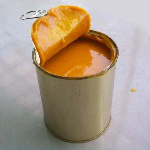 Best Totapuri Mango Pulp Manufacturers