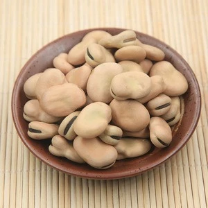 Broad/Fava Beans with competitive price New crop2018