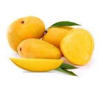 Bulk Alphonso Mangoes Supplier