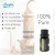 Import Bulk Organic 100% Natural Face Care Massage Aromatherapy Diffuser Humidifier Pure Rosemary Essential Oil from China