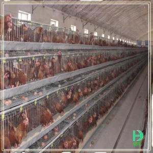 cages for poultry farms Chicken coop for laying hens broiler chicken project chicken egg cages for sale
