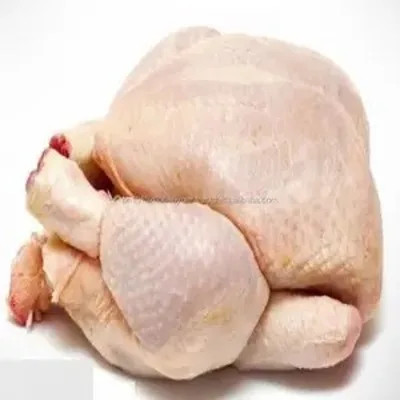 Canada Best Halal Whole Frozen Chicken For Export / Chicken breast , Chicken Legs, Chicken Drumsticks