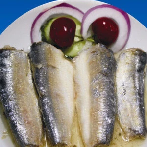 Canned Sardine in Oil/ Tomato sauce