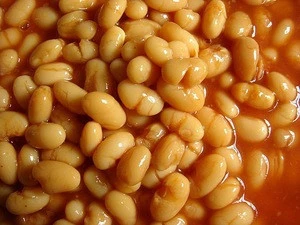 canned white beans in tomato sauce with good quality