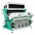 Import CCD Color Sorter for Almonds, Peanuts, Macadamia, Pecan, Pistachio from China
