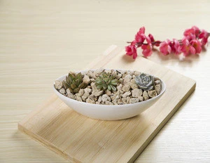 Ceramic Round Planter Pot Modern Indoor Plant Holder Flower Pots for plants