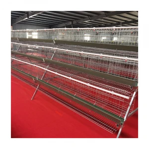 chicken poultry layer cage design for farm in India