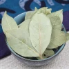China factory wholesale natural spices Laurel leaves