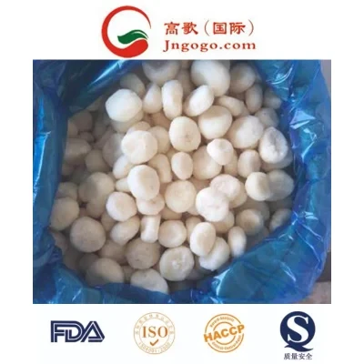 Chinese IQF Frozen Water Chestnut and Frozen Vegetables