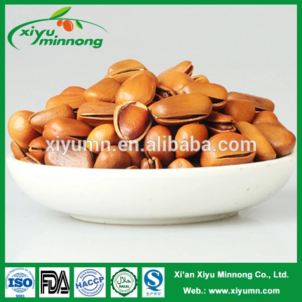 Chinese jumbo size pine nut in shell kernels