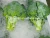 Import Chinese new crop fresh broccoli exporter wholesale price from China