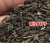 Import Chinese producer new crops Adenophora tetraphylla seeds for growing from China