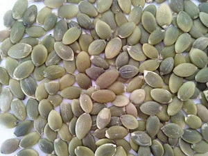 Chinese Pumpkin Seeds Kernel and Pumpkin Seeds with HACCP