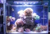 Chinese Supplier  Dimmable 20000k Coral Reef used LED Aquarium Light/Freshwater used Aquarium LED Light