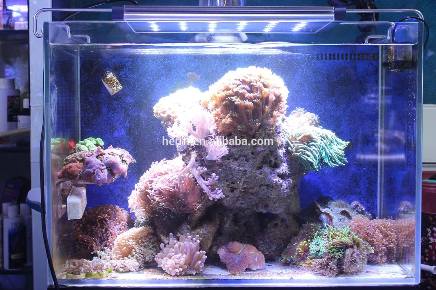 Chinese Supplier  Dimmable 20000k Coral Reef used LED Aquarium Light/Freshwater used Aquarium LED Light