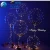 Import Clear Bubble Balloon With Led Strip Copper Wire Luminous Led Balloons For wedding Decorations Birthday Party Supplies from China