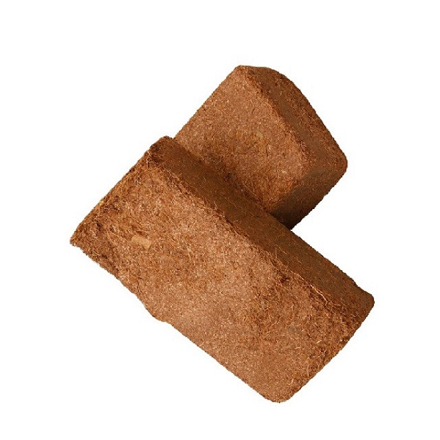 Buy Coco Peat Naked Mesh Blocks 650 Grams Bricks From ARJUNA EXPORTS