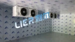 Commercial Cold Room and Freezer Room with High Precision Digital Controller