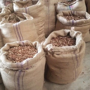 Common Cultivation Type and Variety uses Use Betel nut for sale