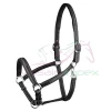 Custom head collar leather horse halter with solid brass buckles fittings