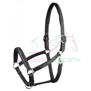 Custom head collar leather horse halter with solid brass buckles fittings