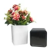 Customize cheap colorful plastic flower pot for indoor