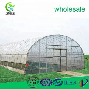 Single-Span Agricultural Greenhouses, Greenhouse Parts, Growing Tomato Seeds