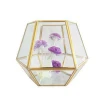 Decorative glass terrarium hood,geometric gold metal air plant holder terrarium