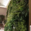 Decorative Mall Hotel Restaurant AirPort Artificial Plastic Green Wall Plants