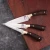 Import DENGJIA Forged Sharp Blade Stainless Boning Knife Kitchen Knives Set with Color Wooden Handle Knife bbq from China