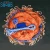 Import Diameter 2.4m Monofilament Fishing Cast Nets with Plastic Ring  Frisbee from China