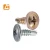 Import Din7504 Wafer Head Self Tapping Screw Button Screws  K lath Pan Truss Head Self Drilling Screw from China