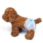 Dog diaper, strong absorbency, anti-leakage, support OEM and ODM, samples available