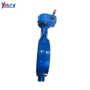 Ductile iron soft seal of valve body Wafer Type Center Line Butterfly Valve