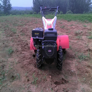 Buy Durable Agriculture Machine Mini Tiller For Garden from Yantai