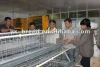 Durable egg cage for egg laying chicken poultry farm (specialized production and design)