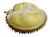 Import Best Quality Durian Powder Extract Available from Thailand