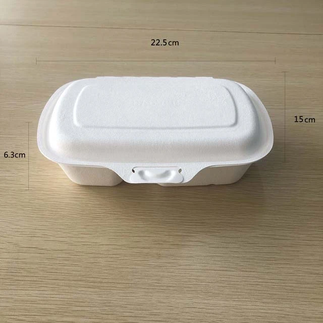 ECO Compostable Clamshell Take Away Food Containers, Compartment Disposable Bagasse Lunch Box