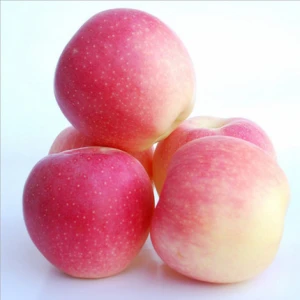 Export Pricesale Apples Royal Gala Apple Fruit Fresh Mt