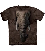 Export quality boys short sleeve new neck t shirt Custom design wholesale price custom pattern round neck boys tee shirt