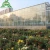 Import Factory Hot Sale Multi-Span Commercial Glass Agricultural Greenhouse from China