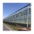 Import Factory Price Long Life Use High Quality Multi Span Agriculture Glass Greenhouse from China